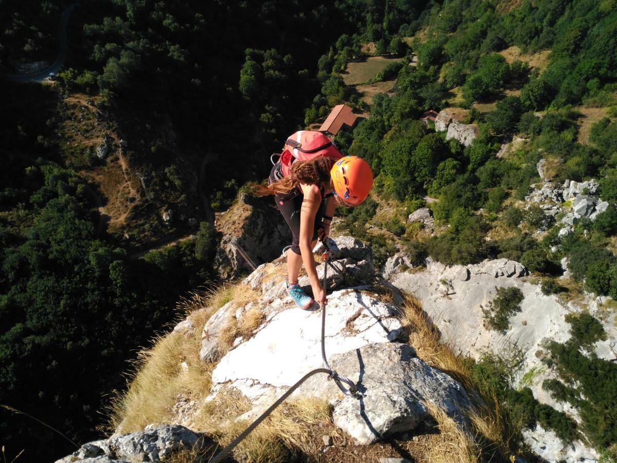 Refugio La Ardilla Real Hostel *